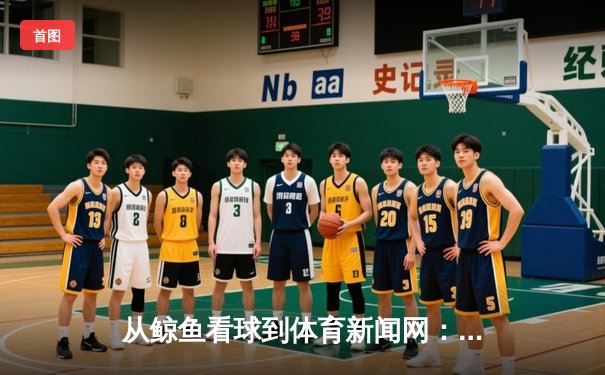 从鲸鱼看球到体育新闻网：数字时代体育传播的深度变革